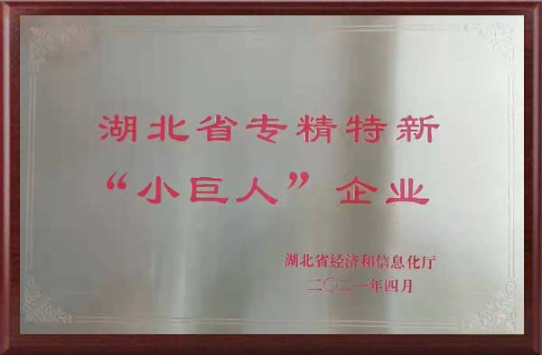湖北省專(zhuān)精特新“小巨人”企業(yè)